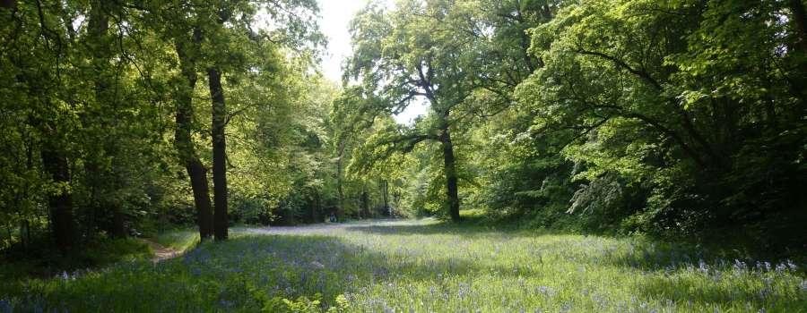 Ecologische projectlocatie