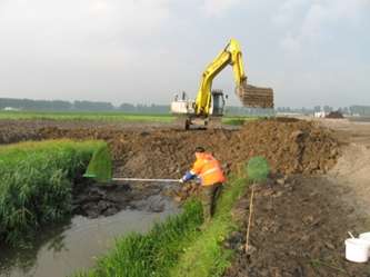Ecologische visbegeleiding